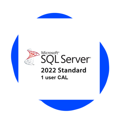 Microsoft SQL Server 2022 Standard - 1 User CAL